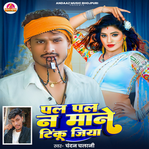 Pal Pal Na Mane Tinku Jiya