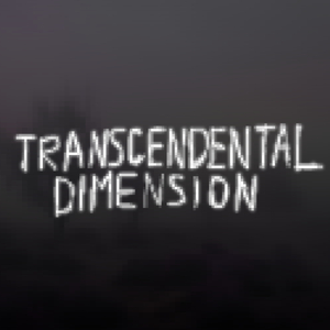 TRANSCENDENTAL DIMENSION