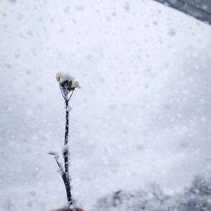 但我更喜欢你喜欢你自己