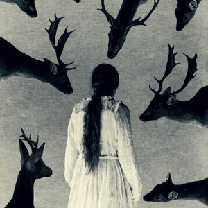 Wuthering Hush