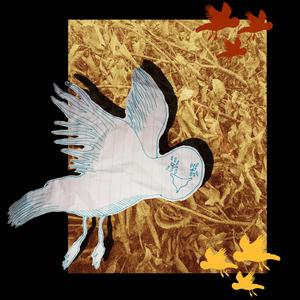 Festival de Desafetos