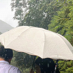 松花江上 (萨克斯轻松的纯音乐)