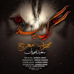 Gorg Pedar (feat. Meraj & Saeed Teymouriyan)