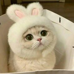 Nothins Free (slowed)