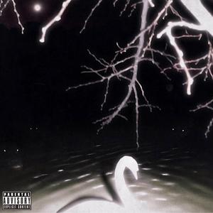 Suicidal Love (feat. Strmyxo)