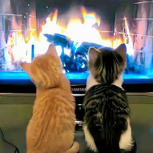 Luv.Pt1(Prod.by MORROW)