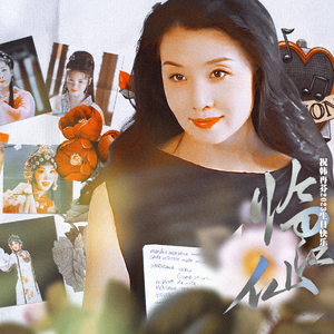 临江仙-韩再芬2023原创生贺应援曲