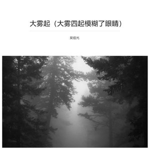 大雾起(大雾四起模糊了眼睛)（翻自 小阿枫）