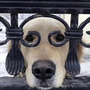 再见亦是朋友（dfs）