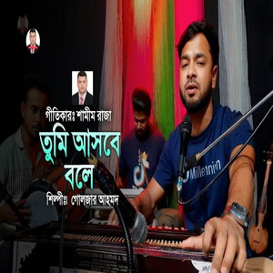 তুমি আসবে বলে