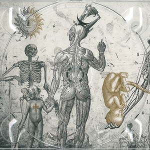 Order of a Serial Killer