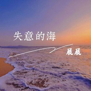 失意的海