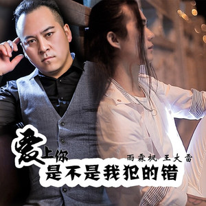 爱上你是不是我犯的错
