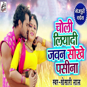 Choli Liyaadi Jawan Sokhe Pasina