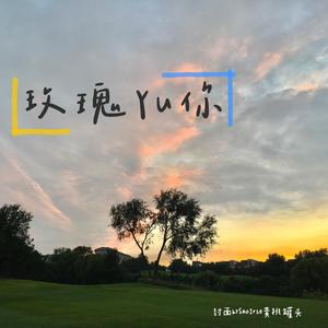 玫瑰Yu你