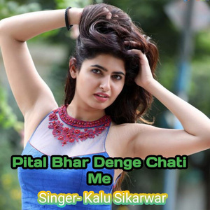 Pital Bhar Denge Chati Me