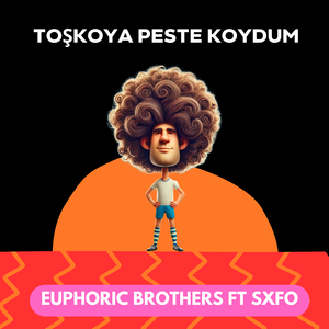 Toşkoya Peste Koydum