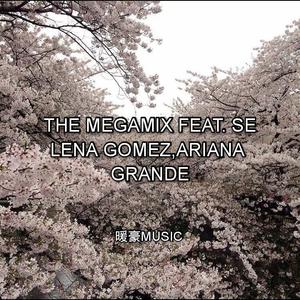 The Chainsmokers-THE MEGAMIX feat. Selena Gomez,Ariana Grande（NUANHAO / MINGYANG remix）