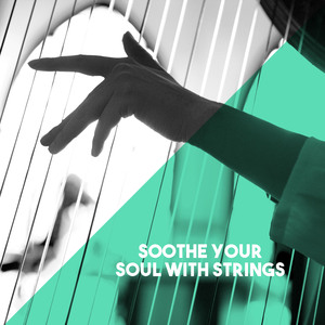 Concerto for Flute & Harp in C Major, K. 299: II. Andantino