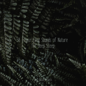 Enchanted Drifts Across Infinity