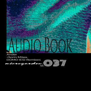 Audio Book (Sorin Milea Remix)