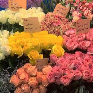 再也不写情歌了（Prod EVOMUSIC)