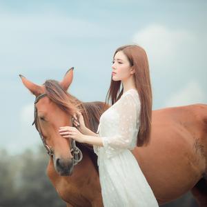 淡淡的歌