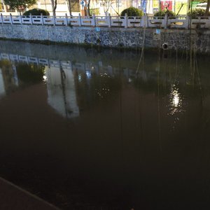 如果结局是分离 那相遇的意义在哪里