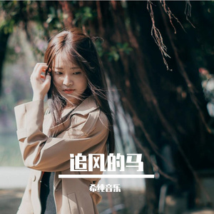 追风的马