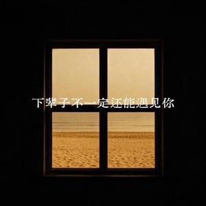 下辈子不一定还能遇见你