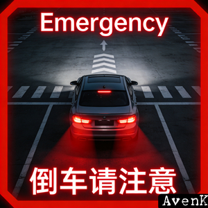 Emergency（倒车请注意）