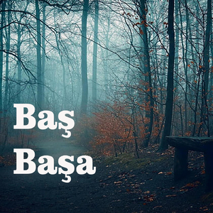 Baş Başa