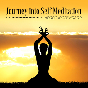 Meditation in the City