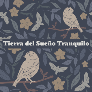 No Llores, Hijo mío