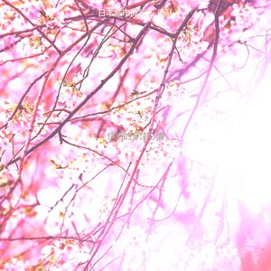 抚慰的怀旧回忆