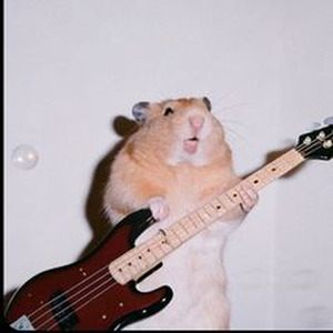 Summertime Sadness (Slowed)