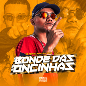 Bonde das Oncinhas