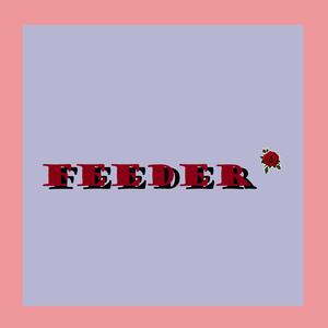 Feeder