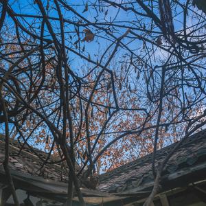 满舒克-满舒克 - 慢热