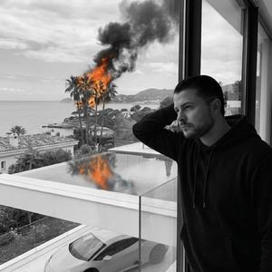 Palm Trees and Smoke