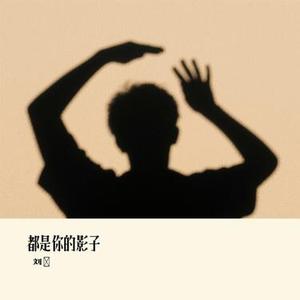 都是你的影子