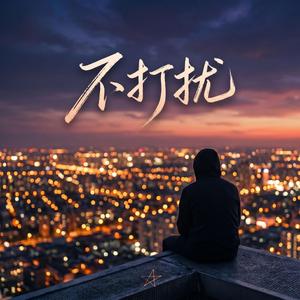 不打扰