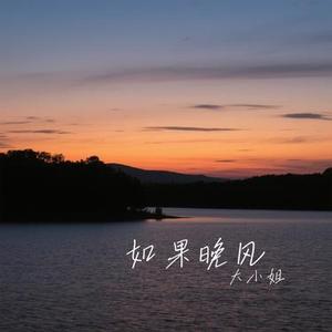 如果晚风 (Cover 洋澜一)