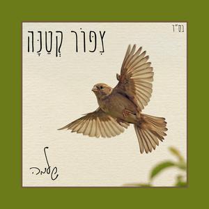 צִפּוֹר קְטַנָּה