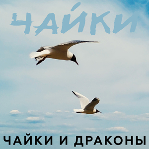 Чайки