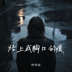 烙上我胸口的痕（伴奏）