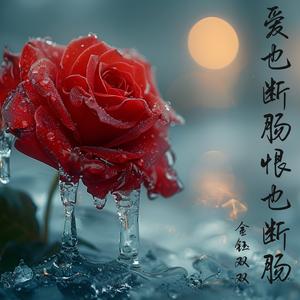 爱也断肠恨也断肠 (DJ默涵版)