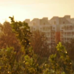 苏幕遮·燎沈香（北宋拟音演唱）