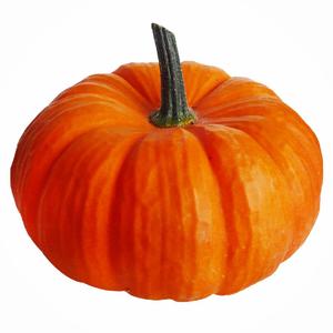 【FREE】Trouble（Prod.FreeFish）