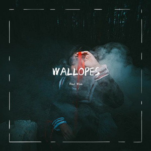 Wallopes(Extended Mix)